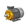 Электродвигатель АИР250S2 (5АМ250S2, А250S2)